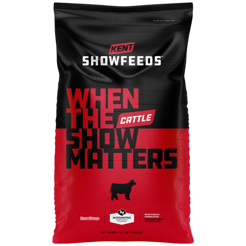 Show Cattle Red Line