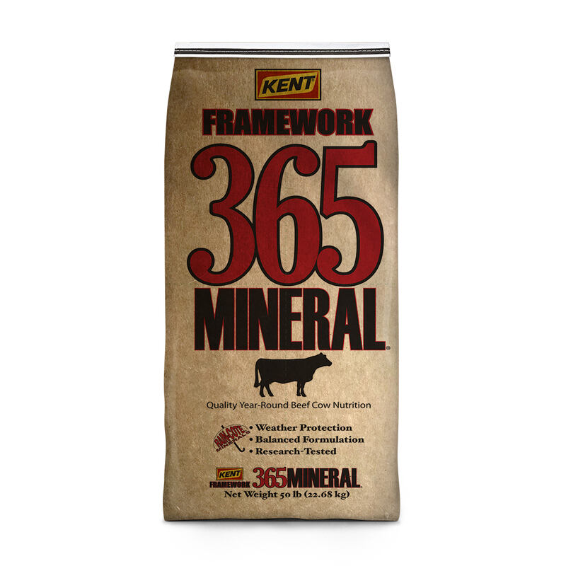 Framework 365 Mineral MG