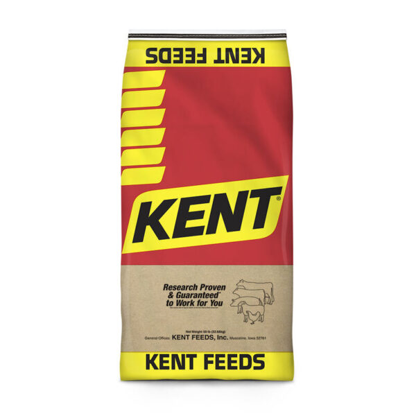 34 Lamb Supplement