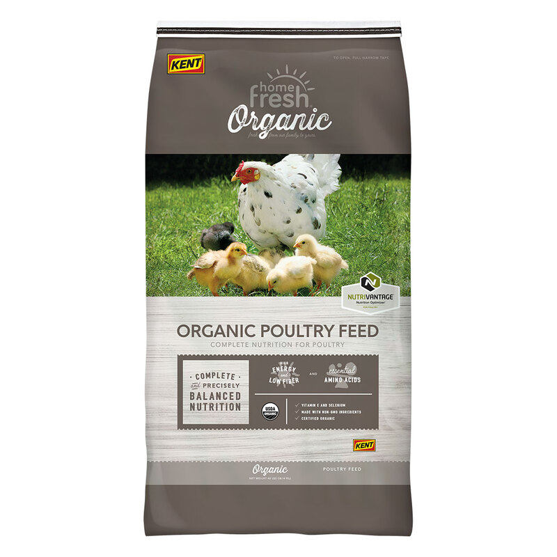 Home Fresh Organic Starter Broiler 