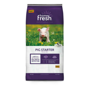 Home Fresh Pig Starter