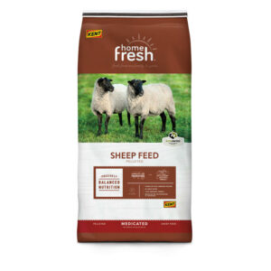 Home Fresh 20 Sheep Starter Grower HE 45DQ