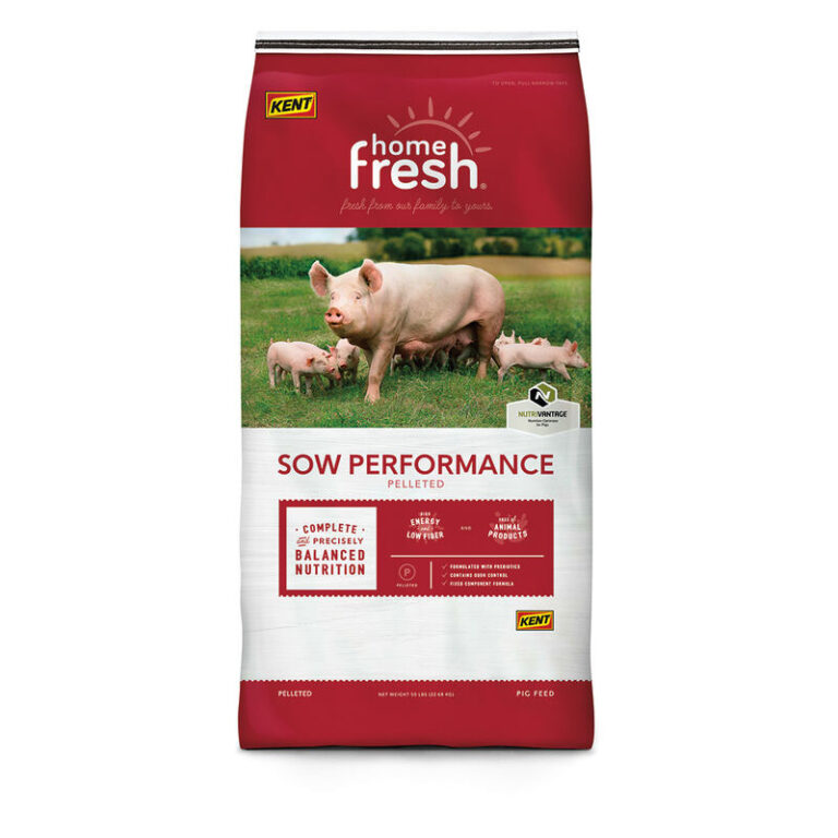 Swine • Premix Kent