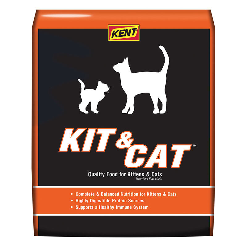 Kit & Cat