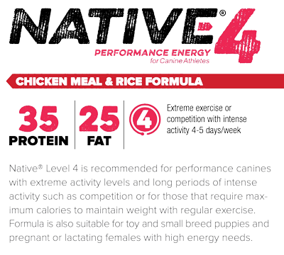 native-level-4-facts_400