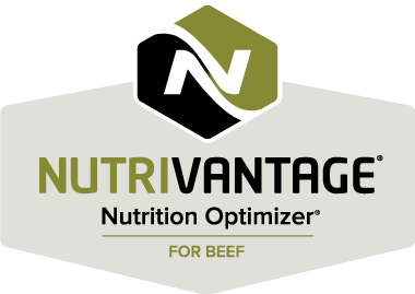 NutriVantage for Beef logo