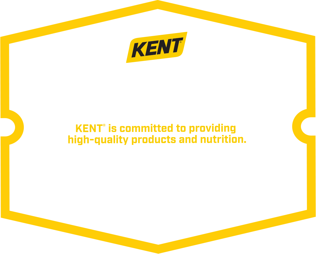 Kent Product Guarantee Logo
