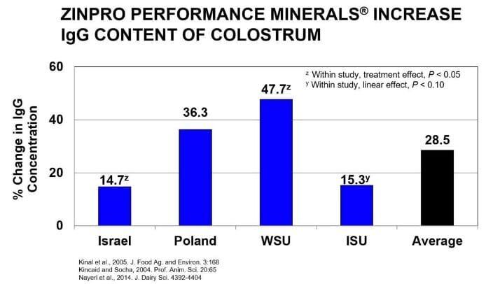 Graph comparison of colostrum IgG content when feeding Zinpro Performance Minerals